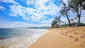 Una playa con cielos despejados, orilla arenosa y palmeras.