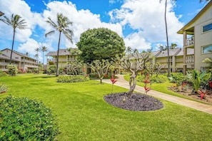 Property grounds - Top-Floor Oceanfront Views by the Kapaa Pool (Kapaa)