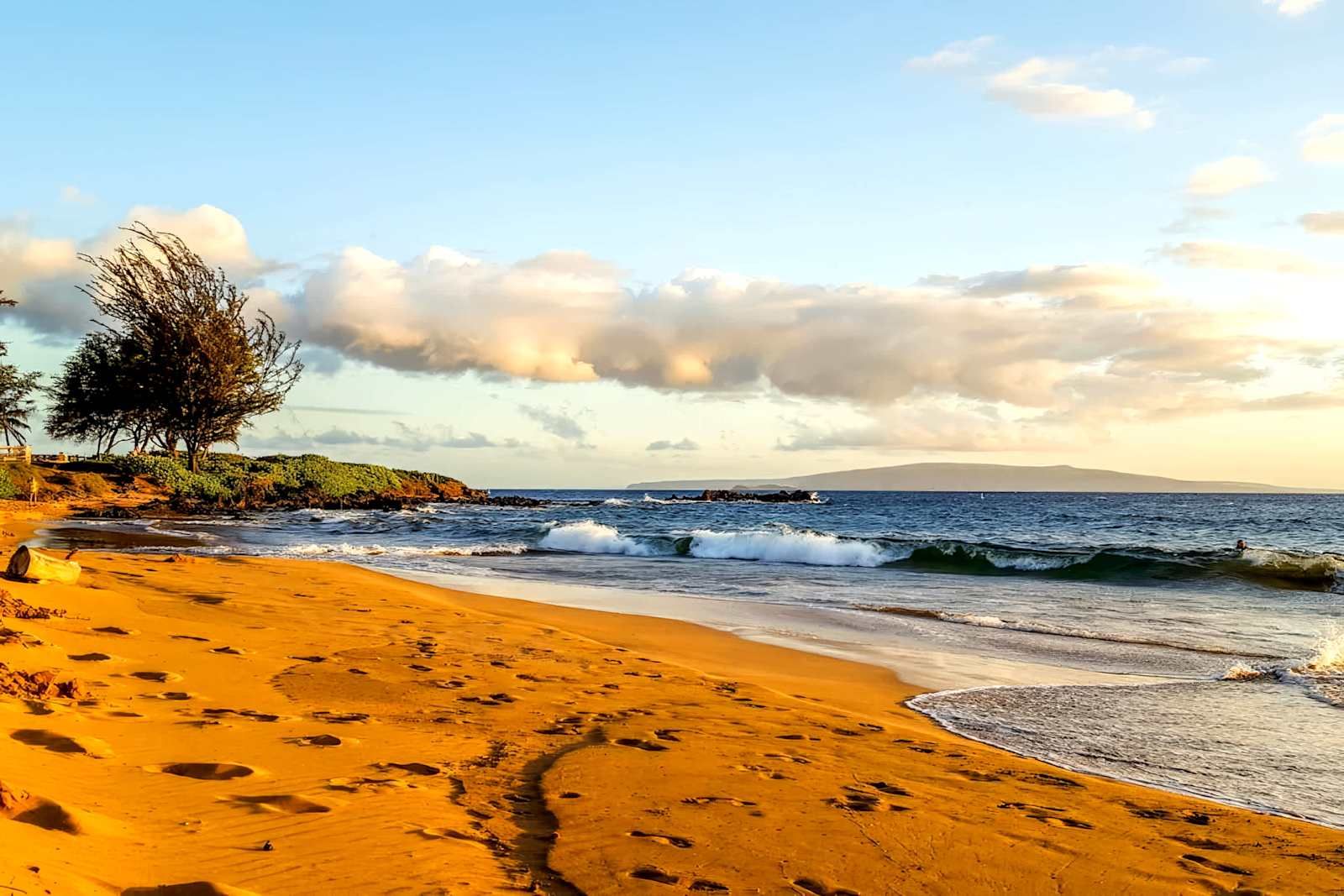 Ein Strand mit Fußspuren, die zum Wasser führen, ein Baum und ein klarer Himmel.