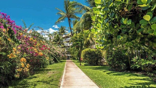 Un sentier bordé d’une végétation luxuriante et de plantes en fleurs, qui mène à un bâtiment d’où l’on a une vue dégagée sur les palmiers et un ciel bleu.