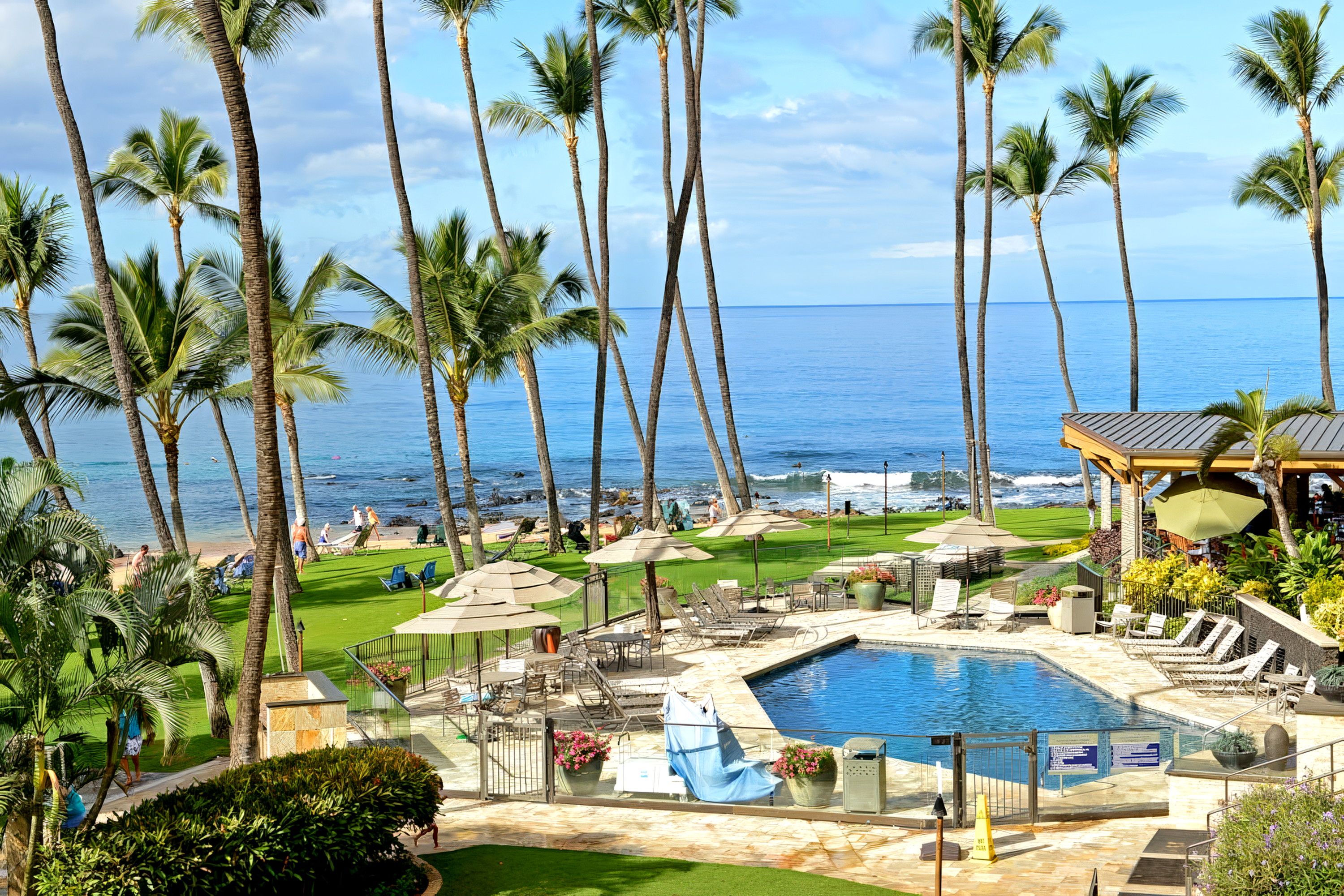 Un resort con piscina, sedie a sdraio e palme.