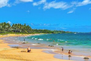 On the beach - Beachfront Kihei Condo with WiFi & Washer/Dryer - Waves Await (Kihei)