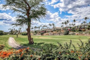 Golf - Wake Coursefront in a Wailea Condo with Pool, Hot Tub & Ocean View (Kihei)