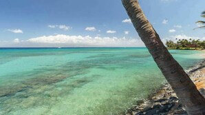 Ein klarer Blick auf einen Strand mit einer Palme, ruhigem türkisblauem Wasser und einer entfernten Küstenlinie.
