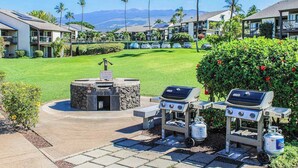 Un área de parrilla al aire libre con un hogar de piedra, dos parrillas a gas y vistas a una zona residencial con palmeras y una montaña al fondo.