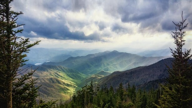 Paesaggio montuoso con fitta foresta e una valle.