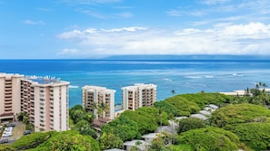 Zona residencial costera con edificios de gran altura, abundante vegetación y vistas al océano.