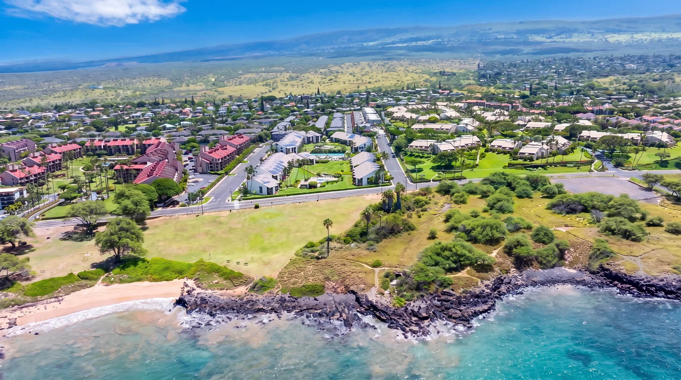 An aerial view of a coastal residential area with houses, roads, and a beach.