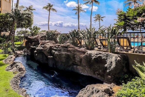 Pool - Kihei Sugar Beach Condo with Private W/D & Pool - Surf, Bike & Golf (Kihei)