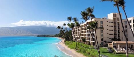 A beachfront hotel with a clear view of the ocean, palm trees, and a mountainous backdrop.