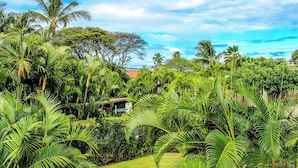 Un exuberante jardín tropical con palmeras y follaje denso, un edificio con techo rojo y un cielo azul despejado.
