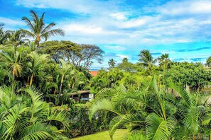 Property grounds - Top-Floor Kihei Escape with Lagoon Pool, Hot Tub & Beach Nearby (Kihei)