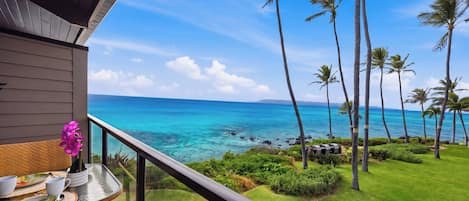 A balcony with a view of the ocean and palm trees.