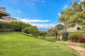 Property grounds - Settle Into a Wailea Ocean-View Townhouse with Central Air & W/D (Wailea)