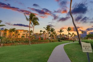 Een pad dat leidt naar een resort, met palmbomen en een heldere lucht.
