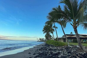 Une plage avec un rivage rocheux, des palmiers et une maison dont on peut voir le jardin.