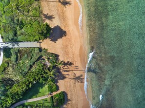 Eine Vogelperspektive zeigt einen Strand mit klarem Wasser, Palmen und einem gepflasterten Weg.