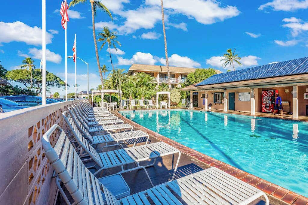 Ein Swimmingpool mit Liegestühlen, Palmen und ein Gebäude mit Solaranlage.