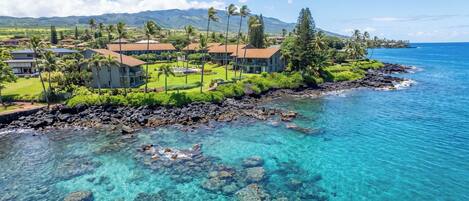 A coastal property with a clear view of the ocean, a rocky shoreline, and a well-maintained lawn with palm trees.