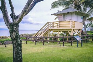 A lifeguard tower with a staircase, surrounded by grass and palm trees. - *New* Fall Deal Private-Lanai Kihei Escape by Kamaole II Beach (Kihei)