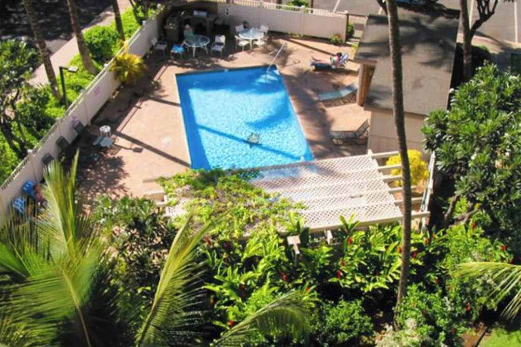 Piscina rectangular con un deck circundante, rodeada de exuberante follaje y una cerca blanca.