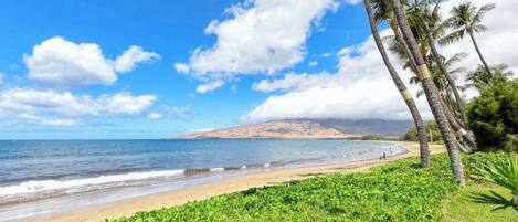 A beach with palm trees, ocean, and a distant mountain.