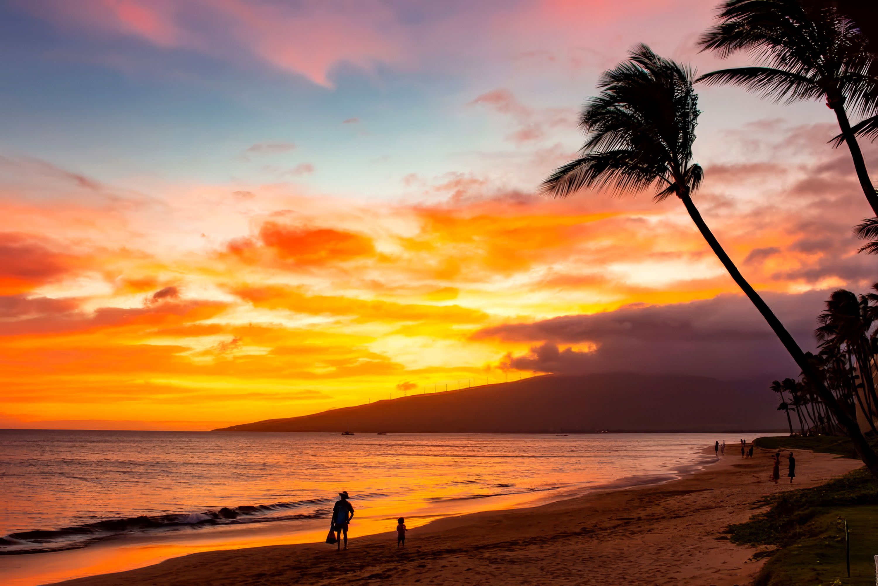 A beach with a sunset, palm trees, and people walking.