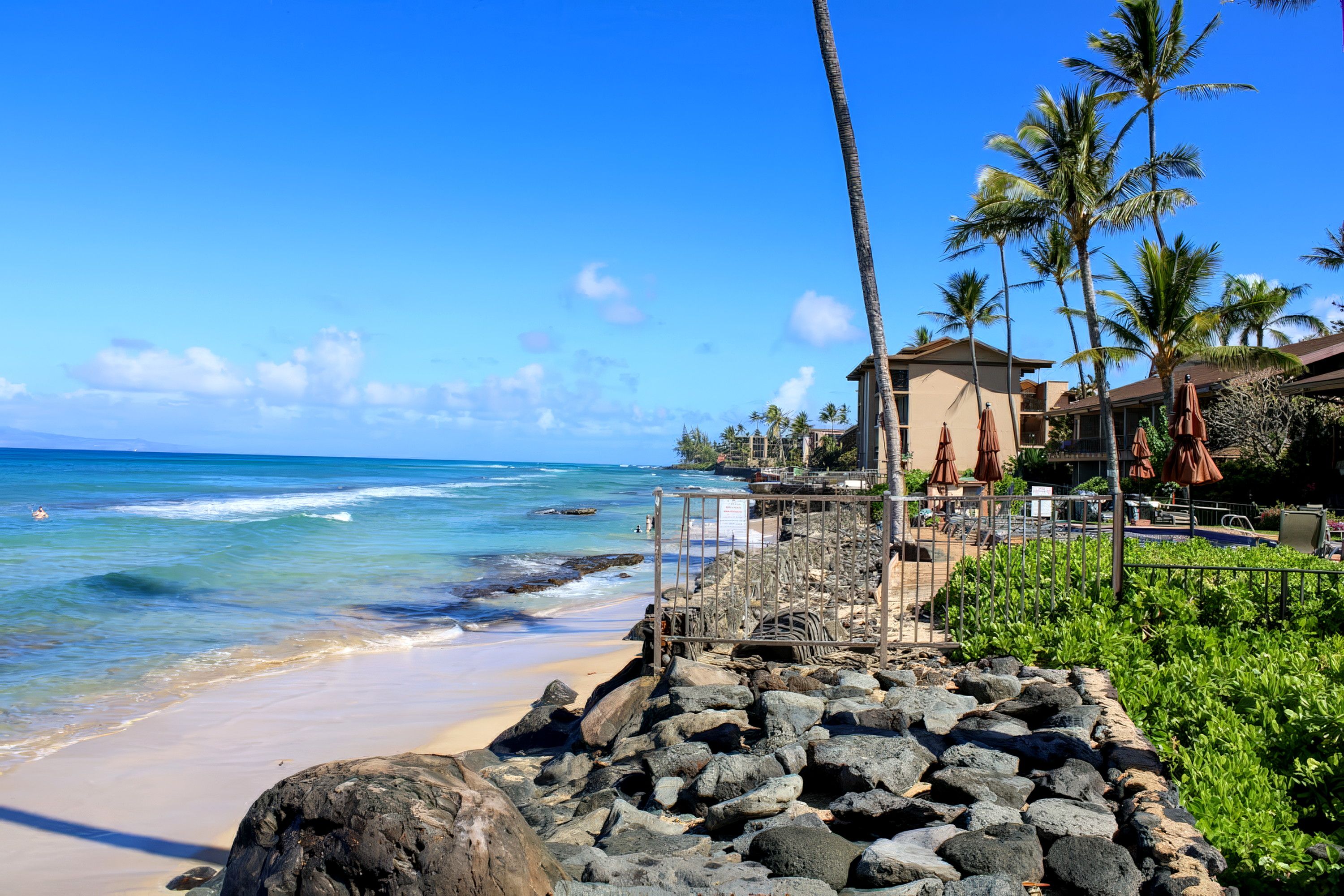 A coastal hotel with a rocky walkway leading to the beach, palm trees, and ocean views.