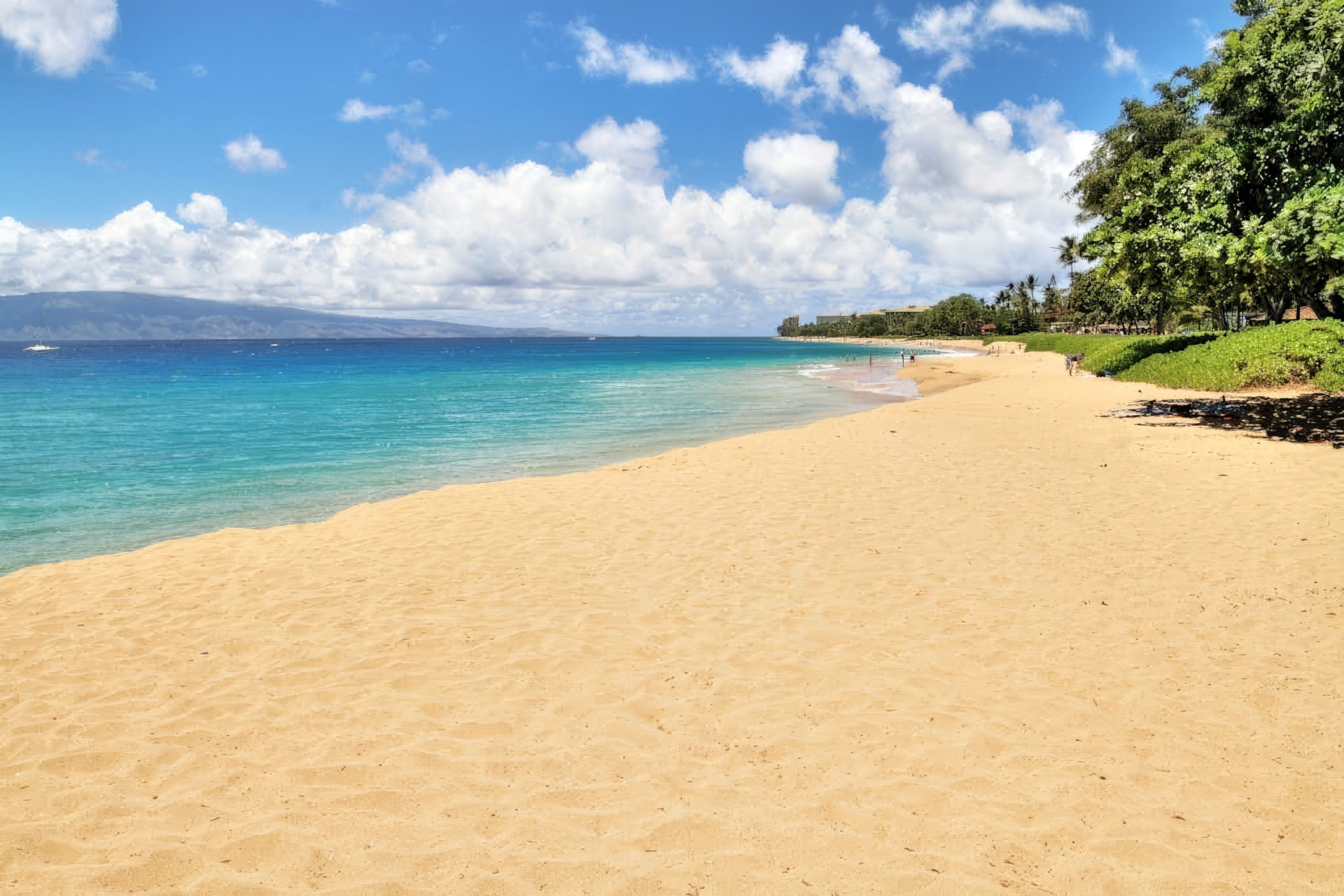 Une plage avec une eau turquoise et limpide, un rivage sablonneux et une rangée d’arbres sur la droite.