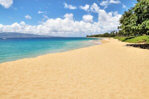 A beach with clear turquoise water, a sandy shore, and a line of trees on the right.
