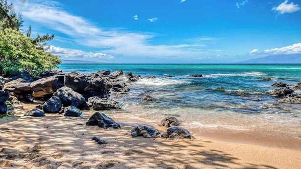 Une plage à l’eau turquoise et limpide, bordée de rochers et de palmiers.