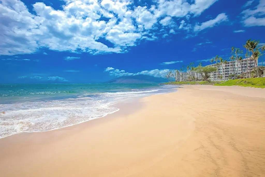 A beach with a clear sky and ocean. There are buildings with palm trees in the background.