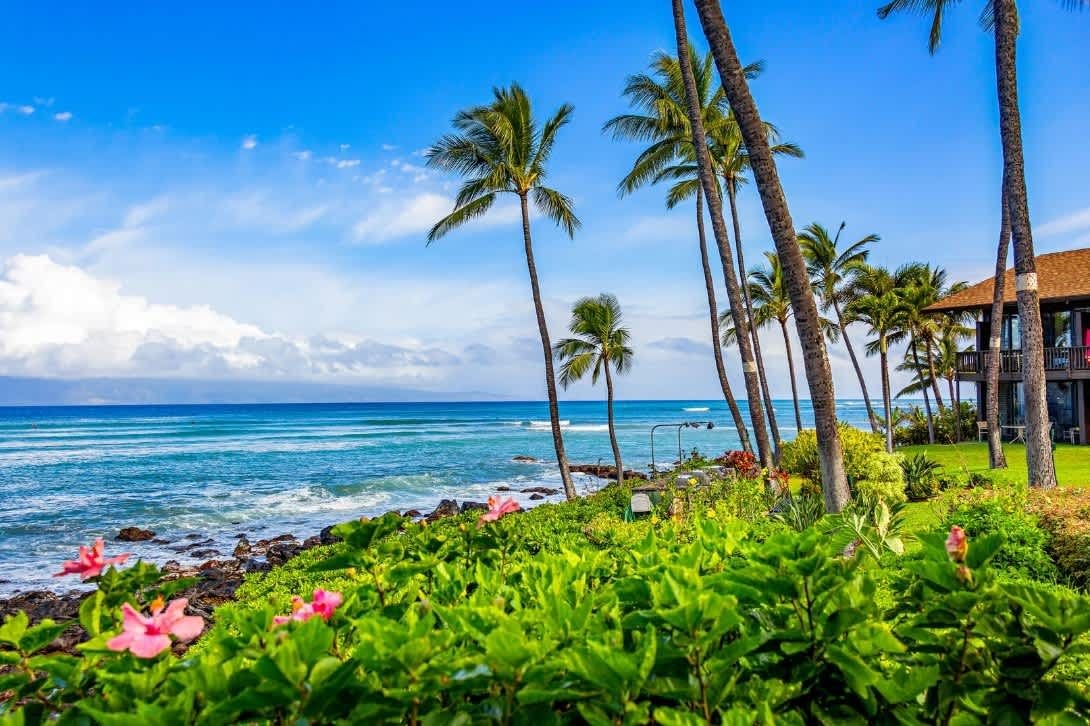 Un paysage côtier avec des palmiers, une vue sur l’océan et un bâtiment doté d’un toit rouge.