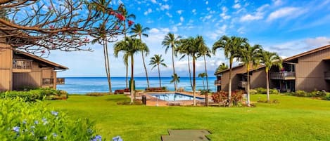 Un resort con piscina, palmeras y vistas al océano.