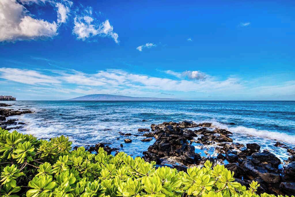 Un paysage côtier caractérisé par des rivages rocheux, une végétation verdoyante et un ciel bleu dégagé.
