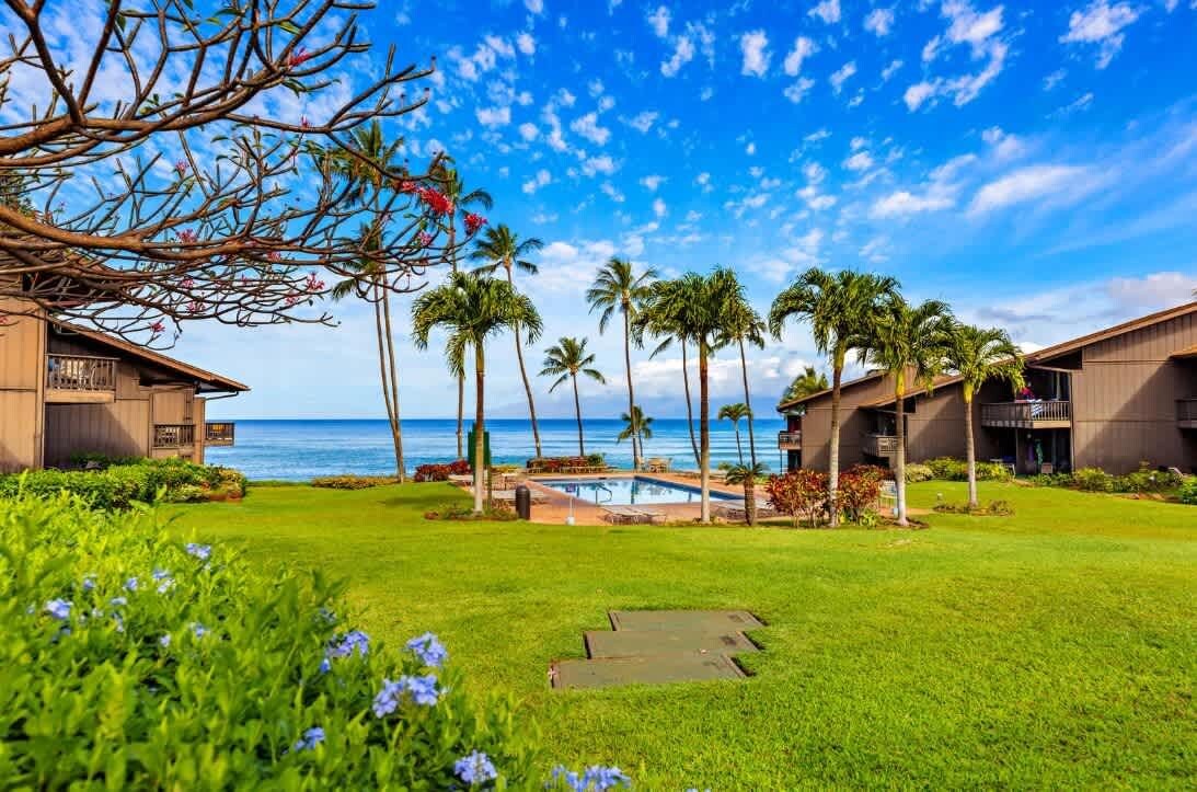 A resort with a pool, palm trees, and ocean views.