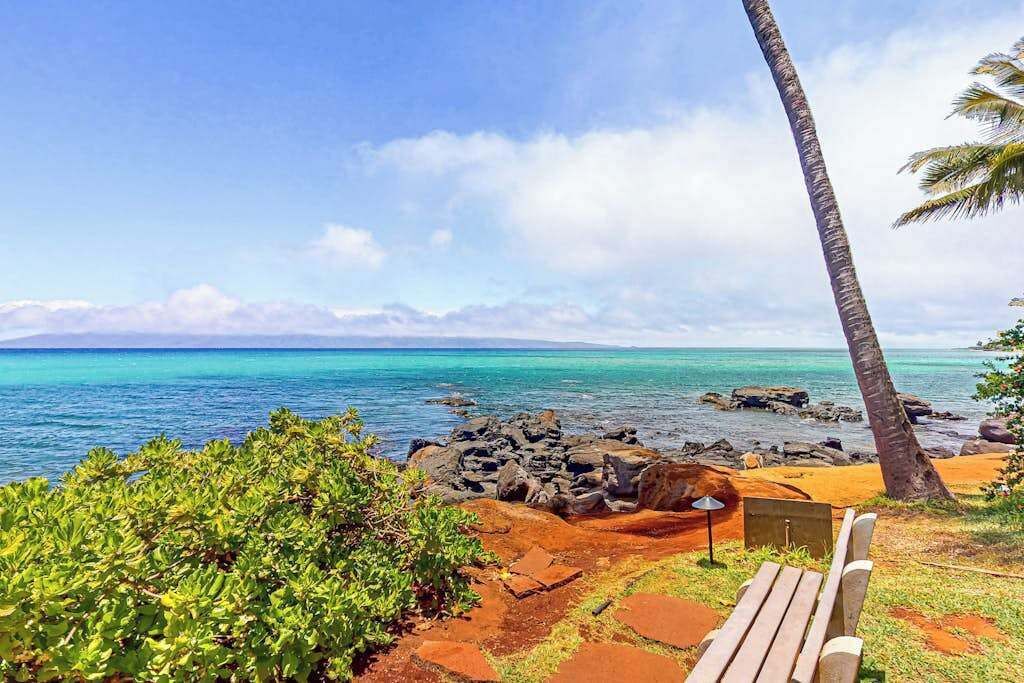 Ein Strand mit einer Holzbank, einer Palme und einer felsigen Küstenlinie.