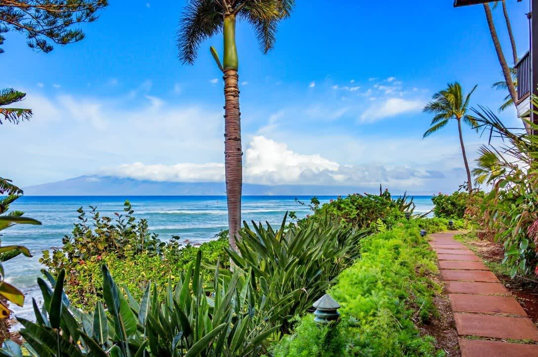 A pathway leading to a beach with palm trees and a clear view of the ocean.