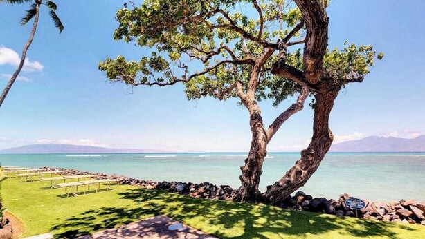 Un sendero bordeado de árboles que lleva a una playa, con vista clara al océano y montañas distantes.