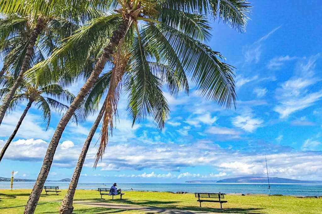 A park with palm trees, benches, and a view of the ocean.