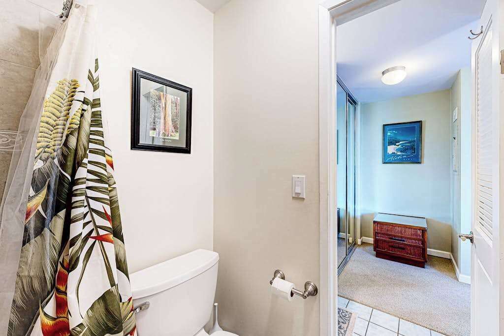 Un bagno con il water, una tenda della doccia e un quadro appeso al muro.