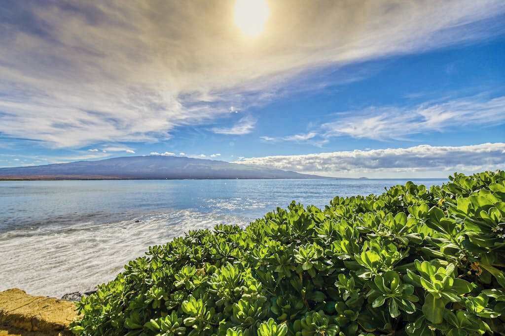 A coastal landscape with a body of water, a mountain in the distance, and dense green foliage in the foreground.