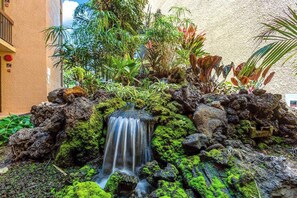 Une petite cascade dans un jardin où l’on trouve différentes plantes et des rochers.