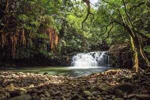 A natural landscape with a waterfall, dense greenery, and a rocky foreground. - New Fall Deal Top-Floor Ocean Views Across from Charley Young Beach (Kihei)