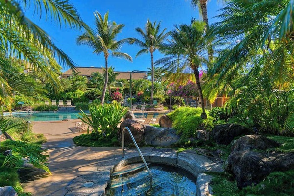 Hidden Spa Oasis Surrounded By Palms