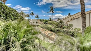 Un resort con palmeras, cielo despejado y un jardín bien cuidado.