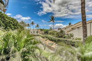 Property grounds - Kihei Loft Condo with Fast WiFi, Pools, Hot Tubs & Tennis (Kihei)