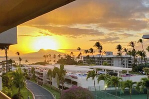 Property grounds - Sunny Fourth-Floor Kihei Condo with Shared Pool & Fast WiFi (Kihei)