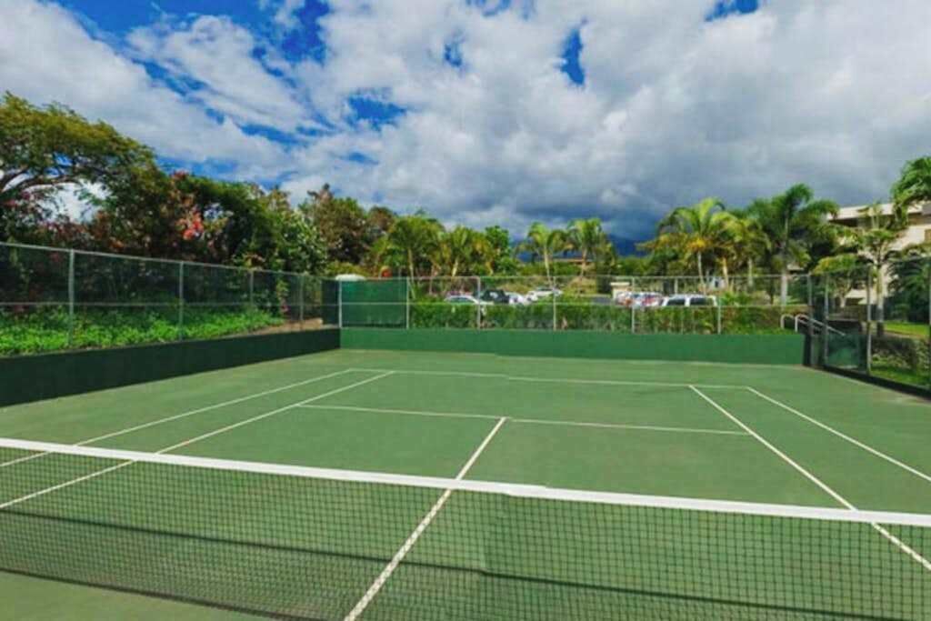 Ein Tennisplatz im Freien mit Netz, umgeben von viel Grün und Palmen.