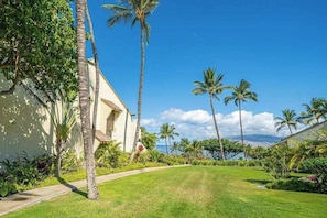 Property grounds - Top-Floor Ocean-View Kihei Condo with Lagoon Pool, Hot Tub & AC (Kihei)